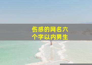 伤感的网名六个字以内男生