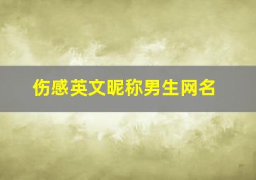 伤感英文昵称男生网名