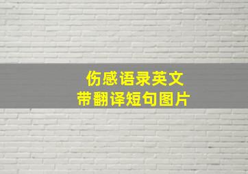 伤感语录英文带翻译短句图片