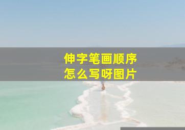 伸字笔画顺序怎么写呀图片