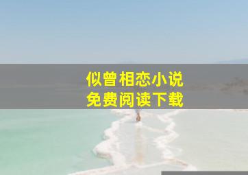 似曾相恋小说免费阅读下载