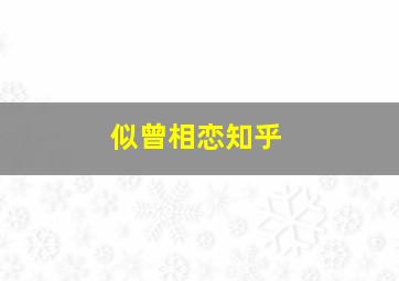 似曾相恋知乎