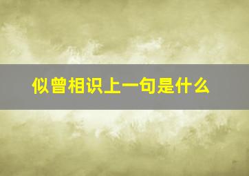 似曾相识上一句是什么