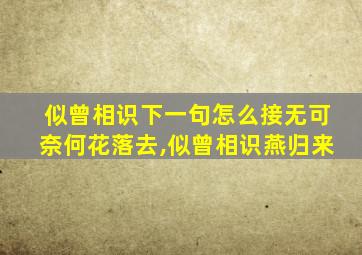 似曾相识下一句怎么接无可奈何花落去,似曾相识燕归来