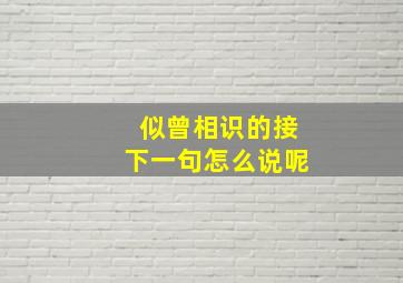 似曾相识的接下一句怎么说呢