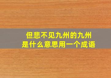 但悲不见九州的九州是什么意思用一个成语