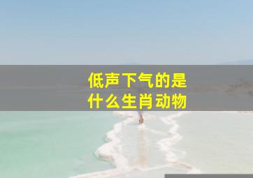 低声下气的是什么生肖动物