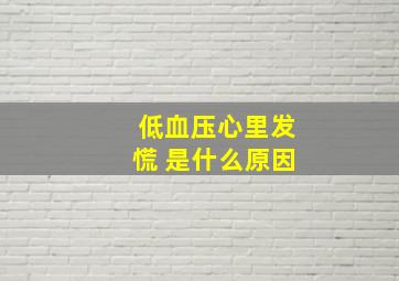 低血压心里发慌 是什么原因