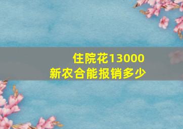 住院花13000新农合能报销多少