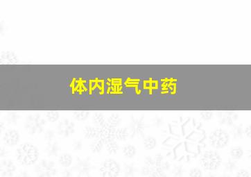 体内湿气中药