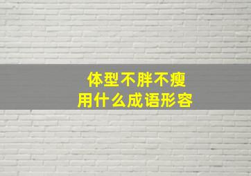 体型不胖不瘦用什么成语形容