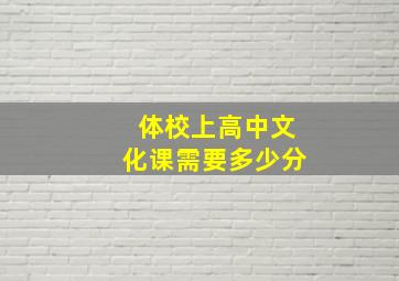 体校上高中文化课需要多少分