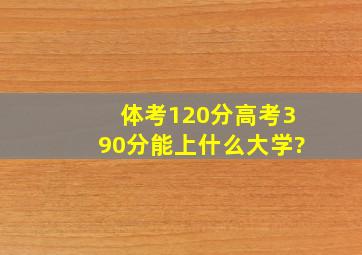 体考120分高考390分能上什么大学?