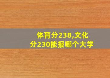 体育分238,文化分230能报哪个大学