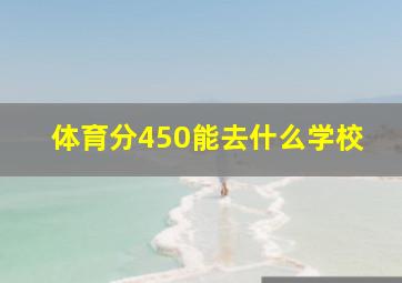 体育分450能去什么学校