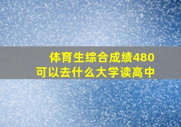 体育生综合成绩480可以去什么大学读高中