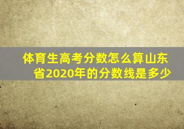 体育生高考分数怎么算山东省2020年的分数线是多少