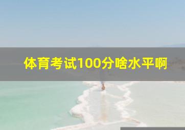 体育考试100分啥水平啊