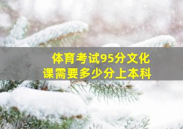 体育考试95分文化课需要多少分上本科