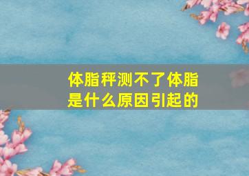 体脂秤测不了体脂是什么原因引起的