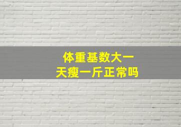 体重基数大一天瘦一斤正常吗