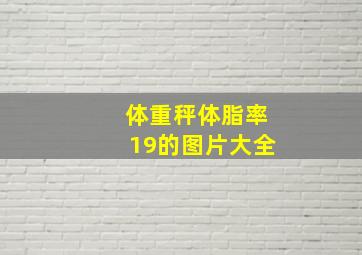 体重秤体脂率19的图片大全