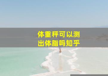 体重秤可以测出体脂吗知乎