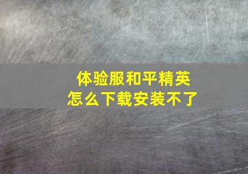 体验服和平精英怎么下载安装不了