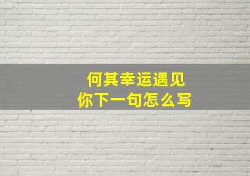 何其幸运遇见你下一句怎么写