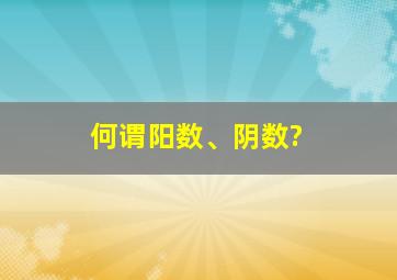 何谓阳数、阴数?