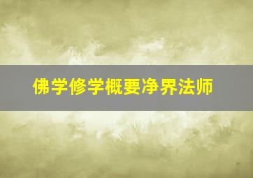 佛学修学概要净界法师