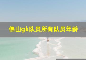 佛山gk队员所有队员年龄