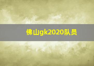 佛山gk2020队员