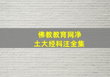 佛教教育网净土大经科注全集