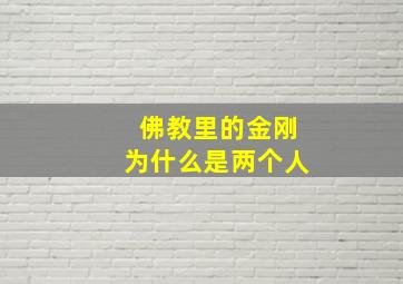 佛教里的金刚为什么是两个人