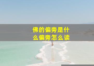 佛的偏旁是什么偏旁怎么读