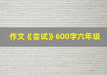 作文《尝试》600字六年级