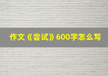 作文《尝试》600字怎么写