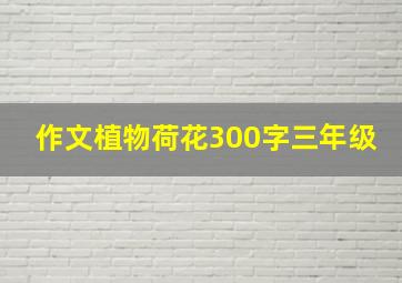 作文植物荷花300字三年级