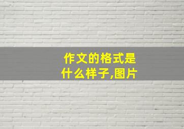 作文的格式是什么样子,图片