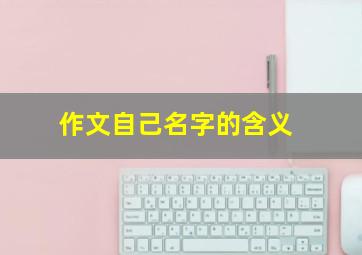 作文自己名字的含义