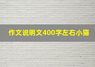 作文说明文400字左右小猫