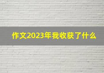 作文2023年我收获了什么