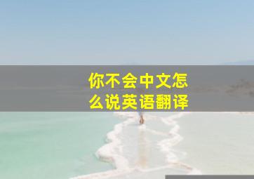 你不会中文怎么说英语翻译