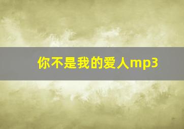 你不是我的爱人mp3