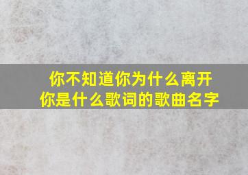 你不知道你为什么离开你是什么歌词的歌曲名字