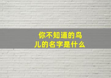 你不知道的鸟儿的名字是什么