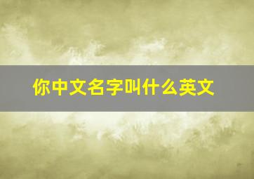 你中文名字叫什么英文