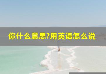 你什么意思?用英语怎么说