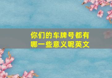 你们的车牌号都有哪一些意义呢英文